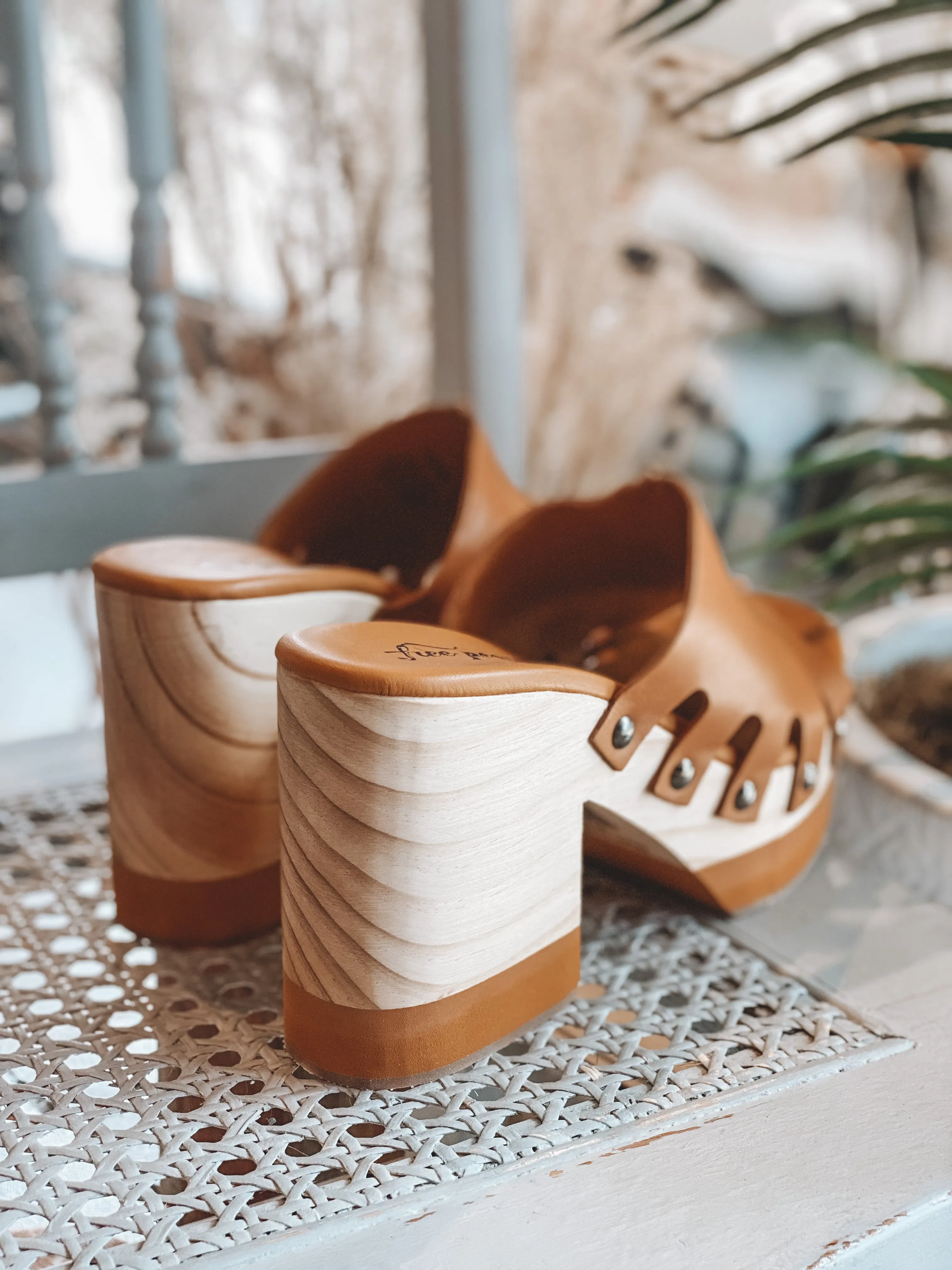CASSIS CLOG