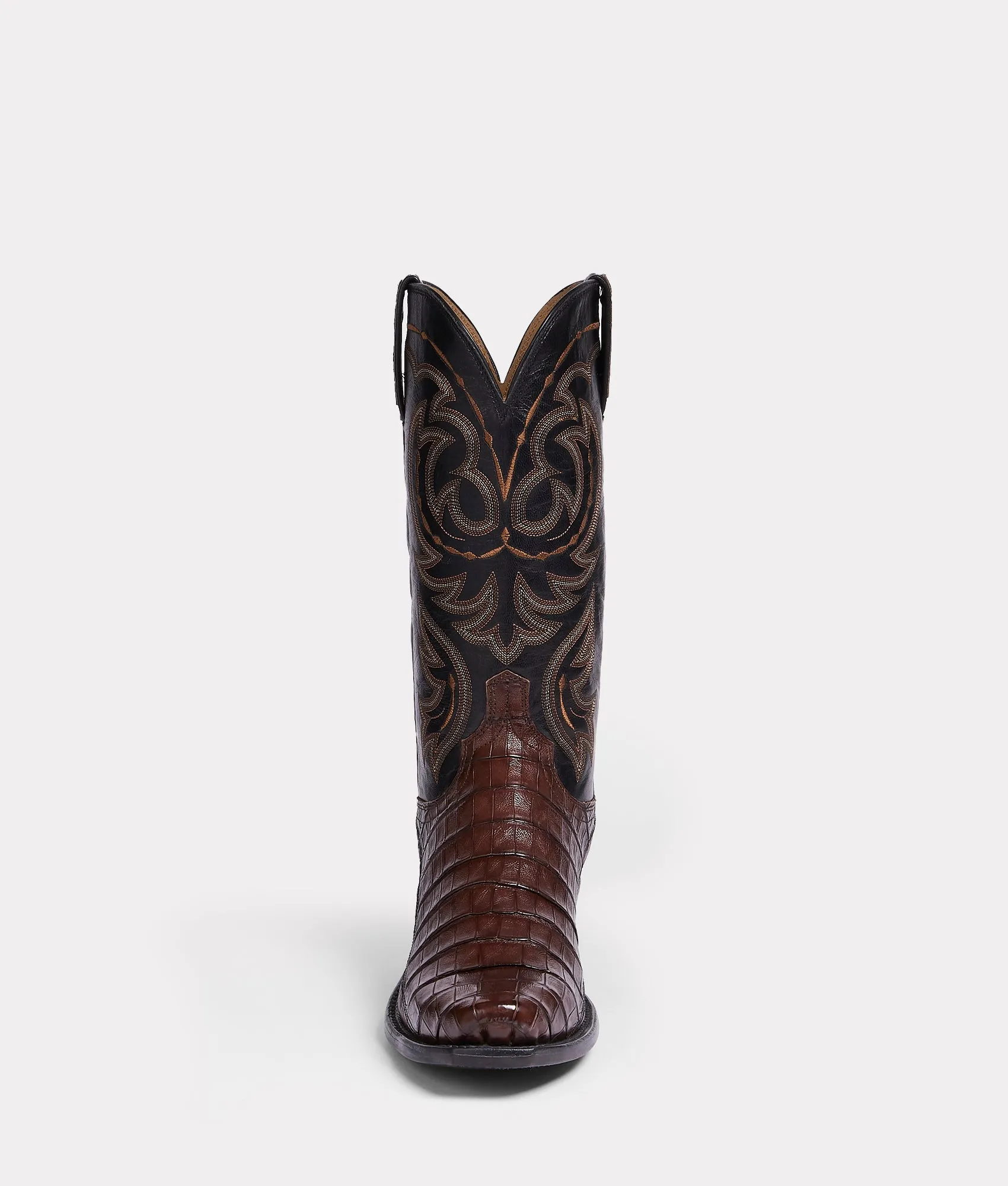Douglas :: Sienna