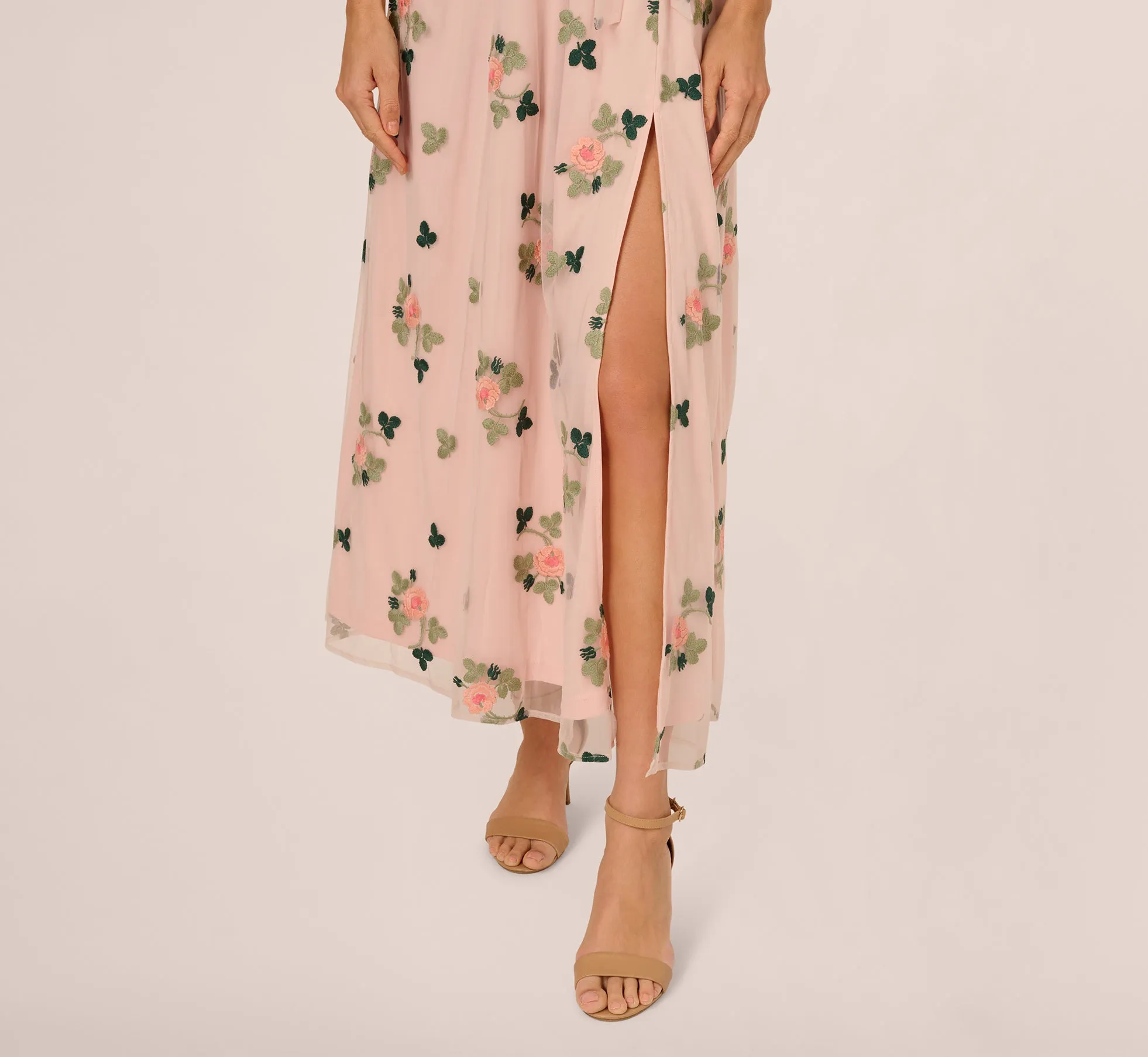 Floral Embroidered Maxi Dress With Sheer Flutter Sleeves In Blush Multi