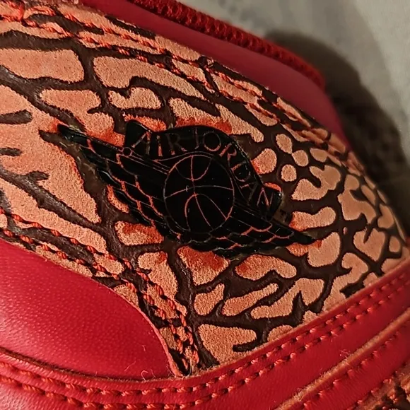 Nike air Jordan sneakers