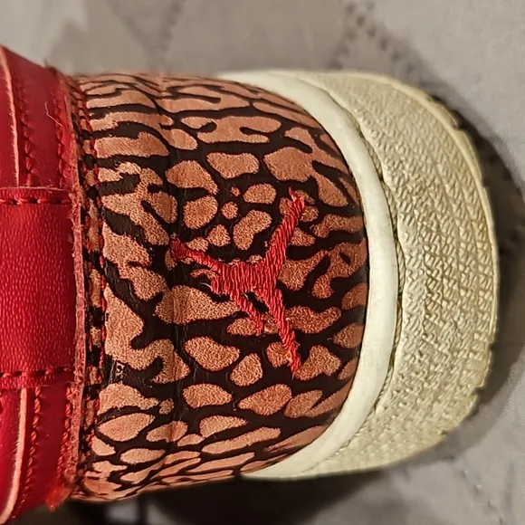 Nike air Jordan sneakers
