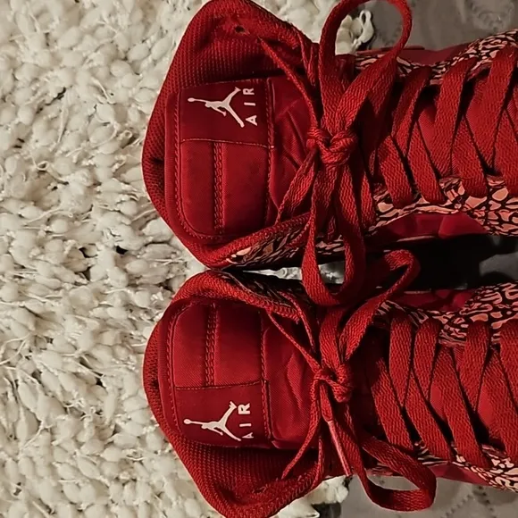 Nike air Jordan sneakers