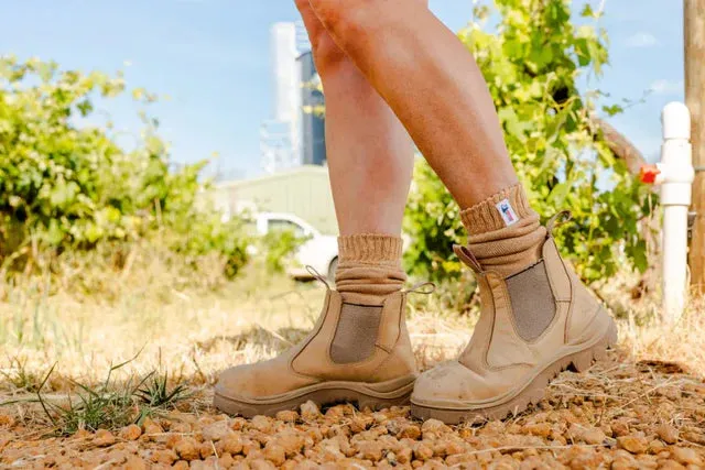 Steel Blue 510701 Ladies Hobart E/S Non Safety Boot